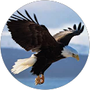 Isaac W profile picture